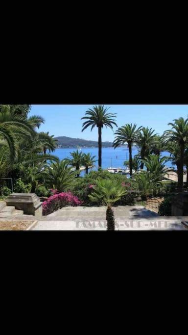 滨海拉塞讷Le Dyonisos Et Piscine公寓 外观 照片