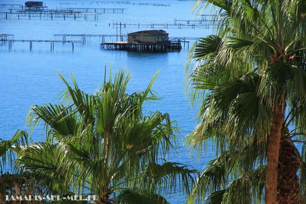 滨海拉塞讷Le Dyonisos Et Piscine公寓 外观 照片